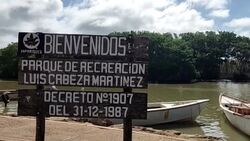 CLEAN : Venezuela on alert after pelicans die of bird flu News Clip