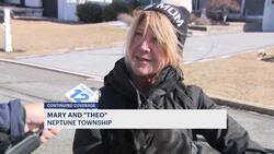 Dozens of dead birds recovered from banks of Shark River suspected of having bird flu News Clip