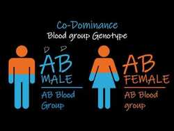 Codominance: Non-mendelian Inheritance Instructional Video