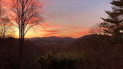 On Loneliness Instructional Video