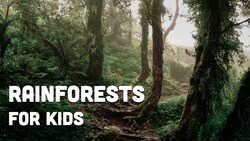 Rainforests for Kids Instructional Video