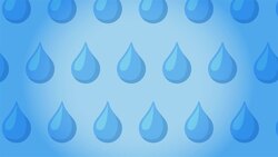 I WONDER - How Does Fast Fashion Waste Water? Instructional Video