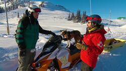 Avalanche dogs ready to lend a paw News Clip