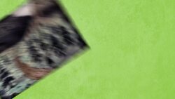 Trails of the West Instructional Video