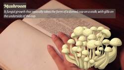 Toadstools vs Mushrooms: Are They Different? Instructional Video