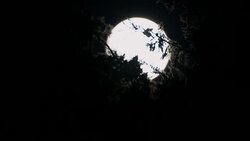 lunar eclipse - full moon 27.7.2018 Stock Footage