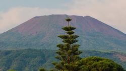 Pompeii Facts That Will Blow Your Mind Instructional Video