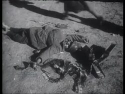 The Belgrade Offensive and Moscow PoW march, 1944 Stock Footage