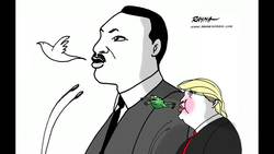 Rayma Suprani: Dictators hate political cartoons -- so I keep drawing them Instructional Video