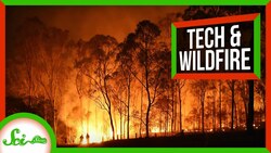 4 High-Tech Ways To Stop Wildfires (And 1 Low-Tech One) Instructional Video