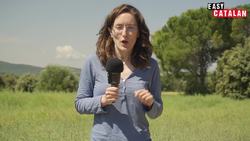 Easy Catalan 24 - Catalan Subjunctive Made Easy- without subs Instructional Video