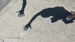 Solar Eclipse Shadows Instructional Video