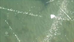 Clear Lake becomes see-through skating rink thanks to perfect conditions News Clip