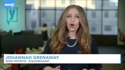 DHS To Analyze State Laws Regarding Undocumented Immigrants At DMV News Clip