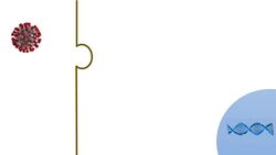 Remdesivir & SARS-CoV-2 (COVID-19) | Mechanism of Action, Adverse Effects, Anti-Viral Properties Instructional Video