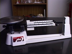 Mediciones: video de evaluación Instructional Video