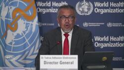 Escalating violence in northern Gaza blocking humanitarian missions, WHO director says Instructional Video