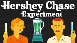 Hershey and Chase Experiment: Finding the Genetic Material Instructional Video