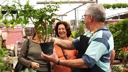 Family shop for plants with Salesman at Flower Market Stock Footage