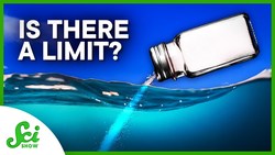 Why’d the Ocean Stop Getting Saltier? Instructional Video