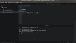 Bash Shell Scripting - Passing Arguments Instructional Video