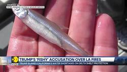 Donald Trump blames California's water shortages on delta smelt protection News Clip