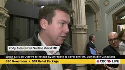 Singh calls on Ottawa to extend $250 rebate to cover seniors, vulnerable Canadians News Clip