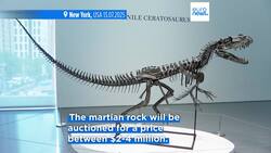 The biggest piece of Mars on Earth is being auctioned off in New York News Clip