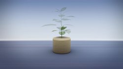 Old mattresses used to grow plants, crops Instructional Video