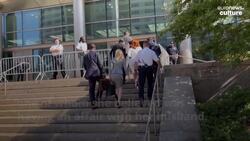 Cardi B pleads guilty to New York strip club assault charges News Clip