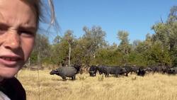 On Safari with Nala - Cape Buffalo Instructional Video