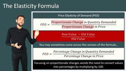 Understanding Elasticity: The Difference between Elastic and Inelastic Demand Instructional Video