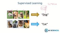 Data Science and Machine Learning (Theory and Projects) A to Z - Process of Learning from Data: Supervised Learning Instructional Video