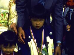 THE MEIJI SHRINE IN TOKYO JAPAN, 1981 Stock Footage