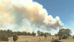 CLEAN : Australia readies for catastrophic bushfires News Clip