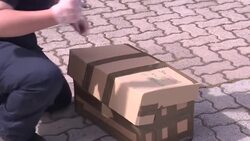 CLEAN : Families take provisions to confined sailors aboard French aircraft carrier News Clip