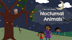 Introduction to Nocturnal Animals Instructional Video