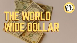 Could The Whole World Use Just One Currency? part 1: Introduction and the History of Universal Currency Instructional Video