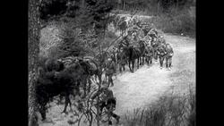 Patrols and Armoured Vehicles Cross Norway Stock Footage