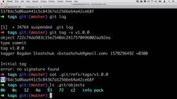 Complete Git Guide: Understand and Master Git and GitHub - Exploring a Git Tag Object Instructional Video