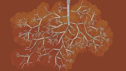 TED-Ed: Alex Gendler: How languages evolve Instructional Video