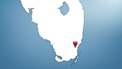 Florida now home to venomous new tarantula species Instructional Video