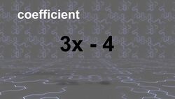 Terms and Variables Instructional Video