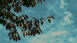 Kanda Instructional Video