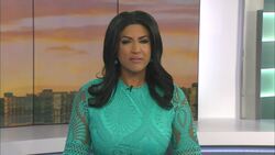 Brick stabbing suspect faces nearly 2 decades News Clip