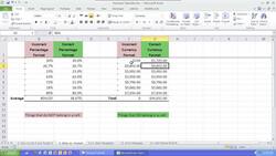 Data vs. Format in Microsoft Excel Instructional Video