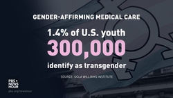 Families with transgender children struggle to navigate wave of anti-trans politics News Clip