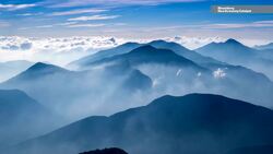 Carbon Capture Startup Sees Its New Tech as a Profitable Investment News Clip