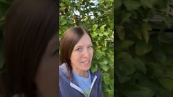 Use ‘obsessed with’ to exaggerate! Instructional Video