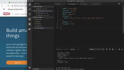 Importing npm Modules Instructional Video